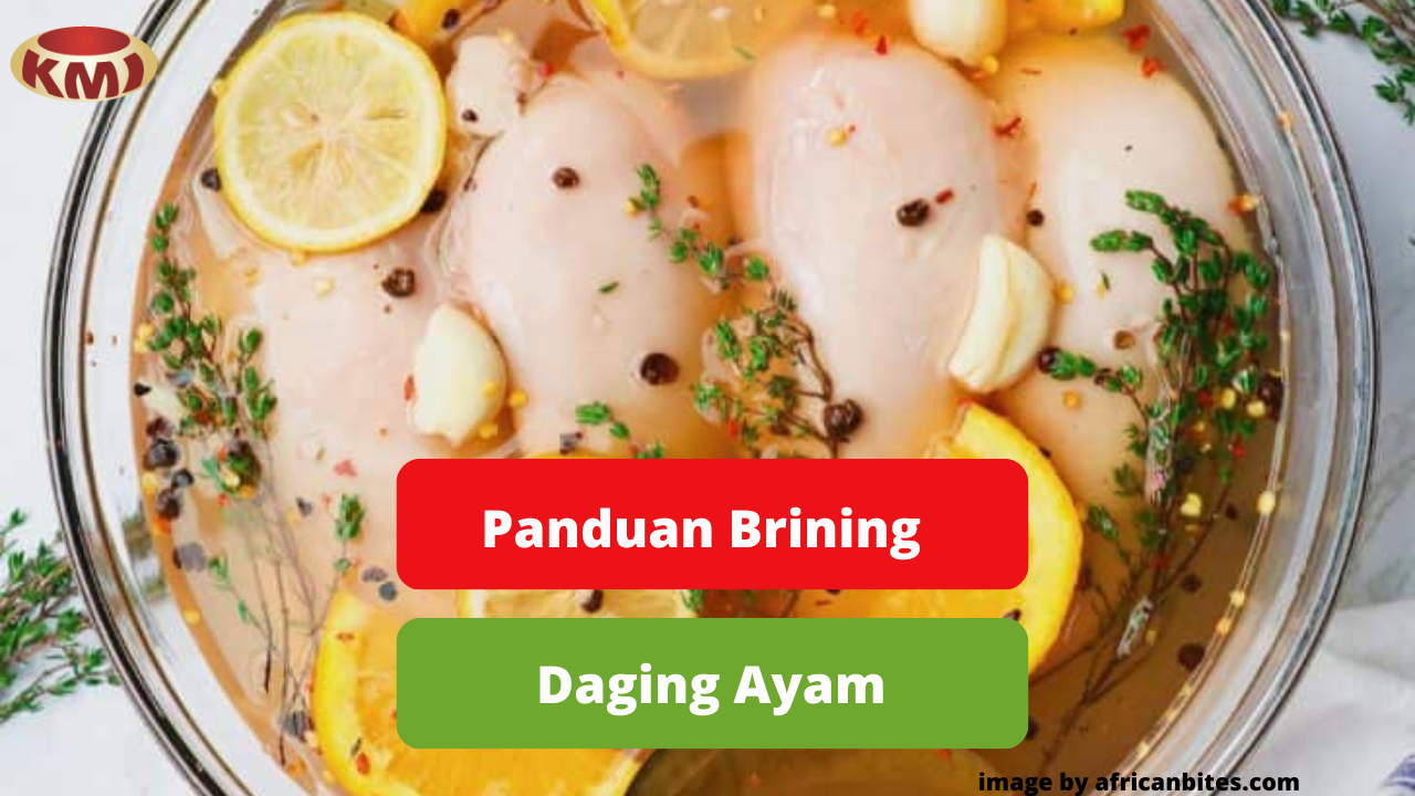 Inilah Panduan Brining Daging Ayam Broiler